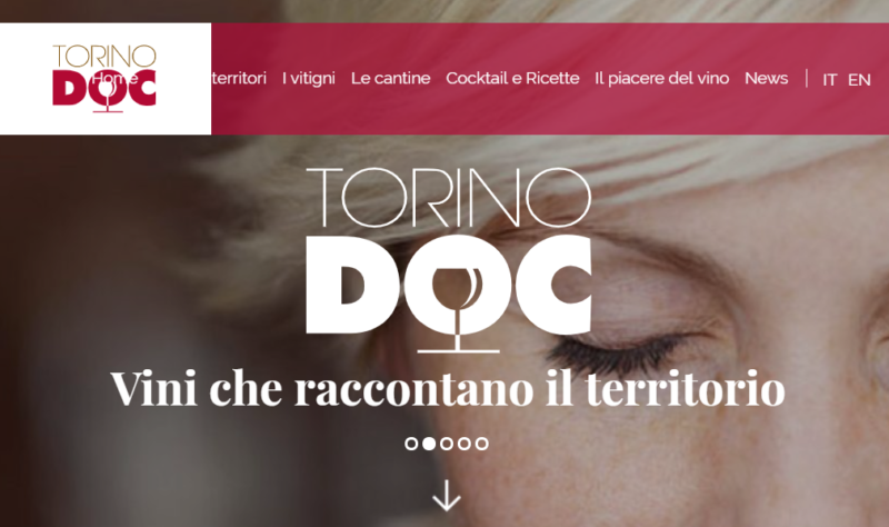 Guida vini Torino DOC