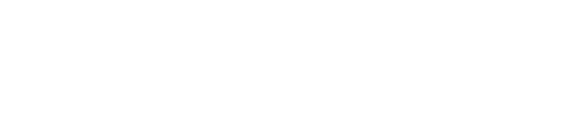 FPI_LogoBianco