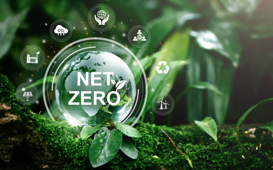 Invitalia per le imprese: Sportello Net Zero e Contratti di Sviluppo – 26 maggio